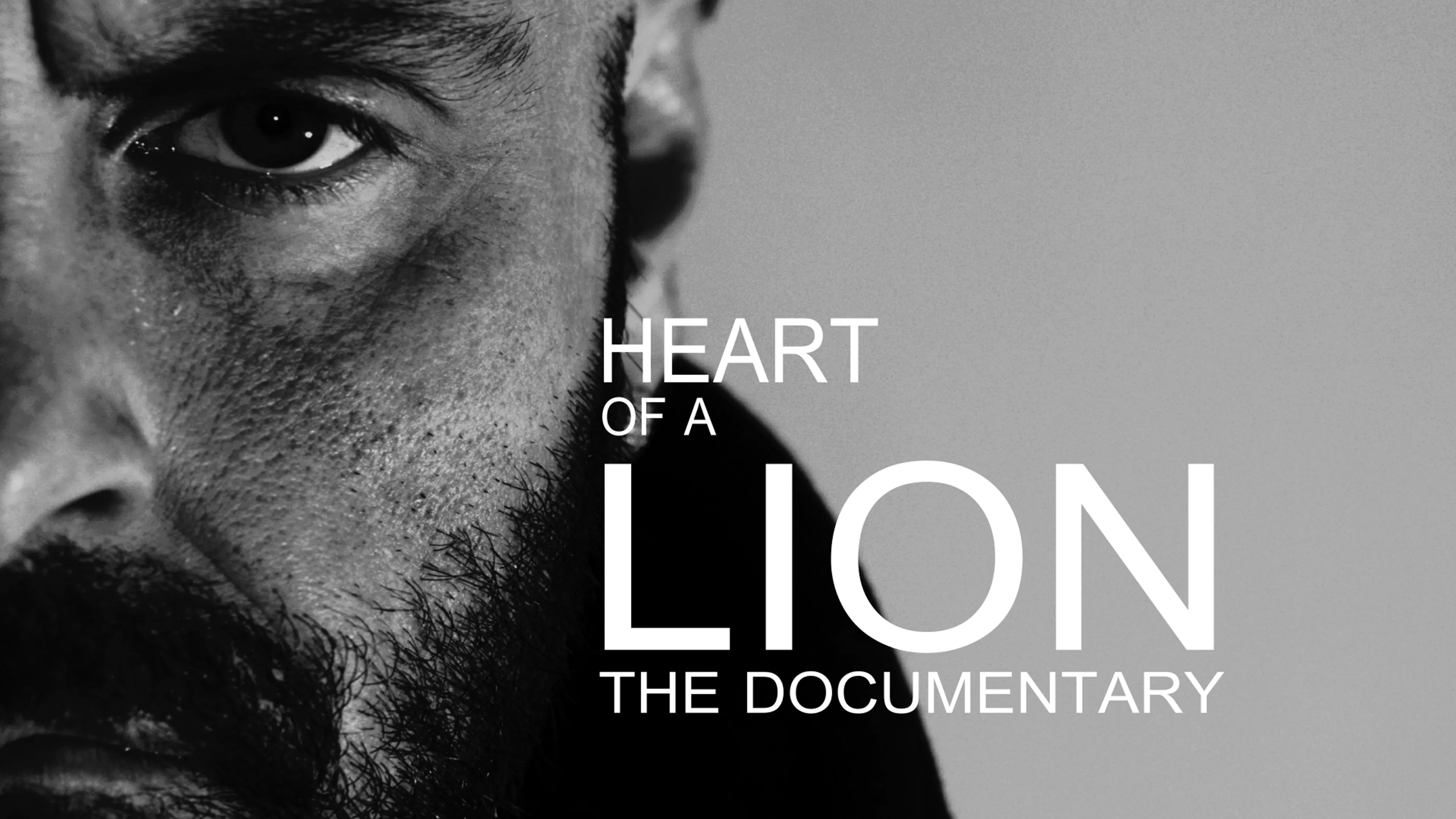Heart of a Lion poster